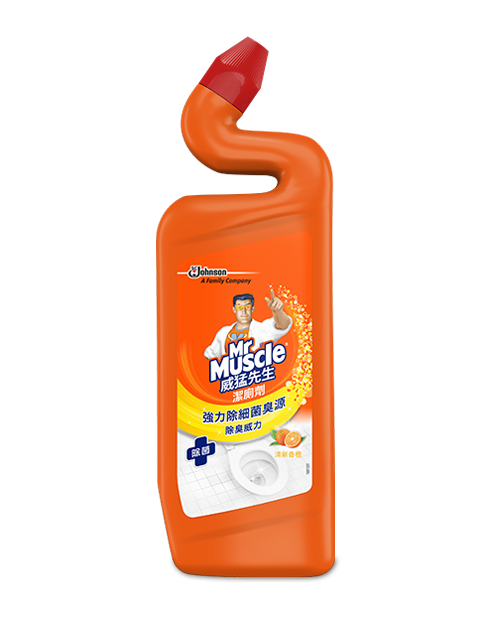 toilet cleaner OE